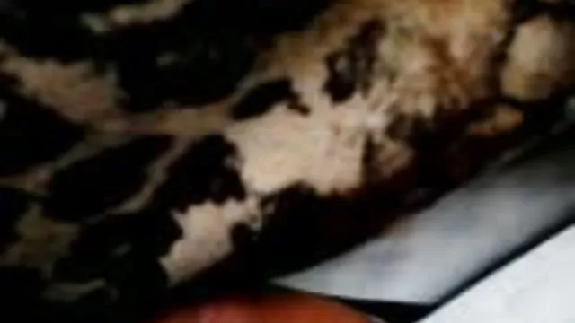 داغ بدون ثبت نام آسیایی, لباس شنا, فیلمهای پورن و سکسی پارتی