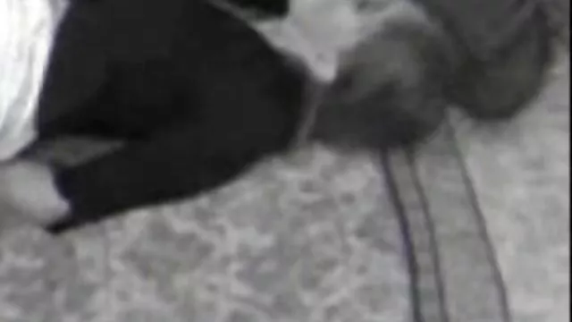 داغ بدون ثبت نام جوان فیلمهای سکسی برازرز آماتور مشاعره بزرگ